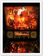 Photos du Flipper Indiana Jones Gold